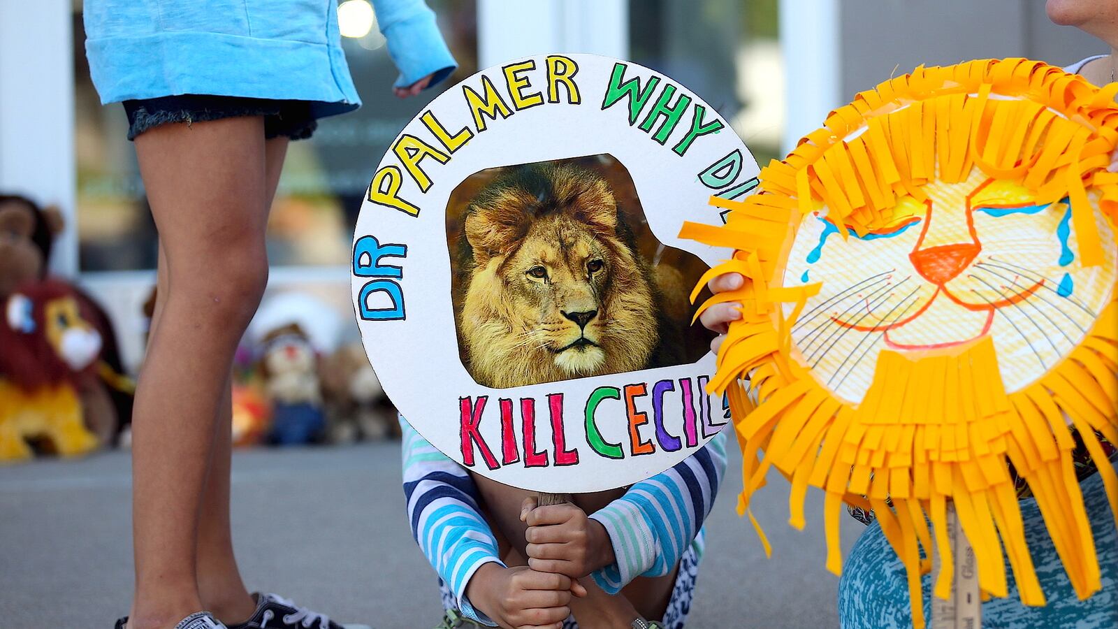 cheats/2015/07/31/zimbabwe-dentist-should-be-extradited/150731-extradite-cecil-killer-cheat_cpbzvx