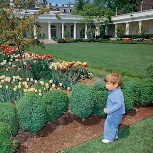 Jack Schlossberg shared this photo of his father, John F. Kennedy Jr., as a toddler in the White House Rose Garden in 1963.