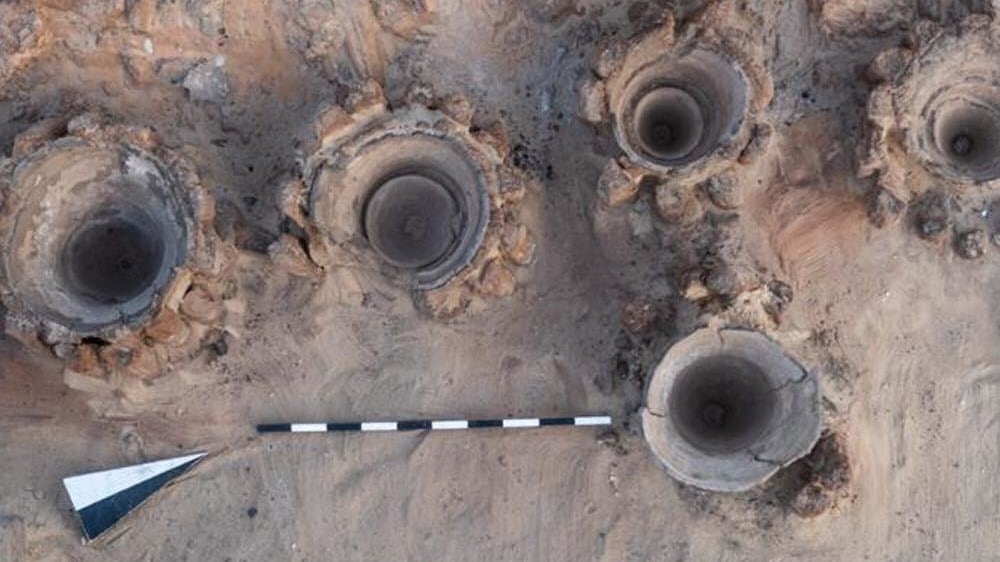 149730239_3821072231271732_8047139331294332255_o_sje71j