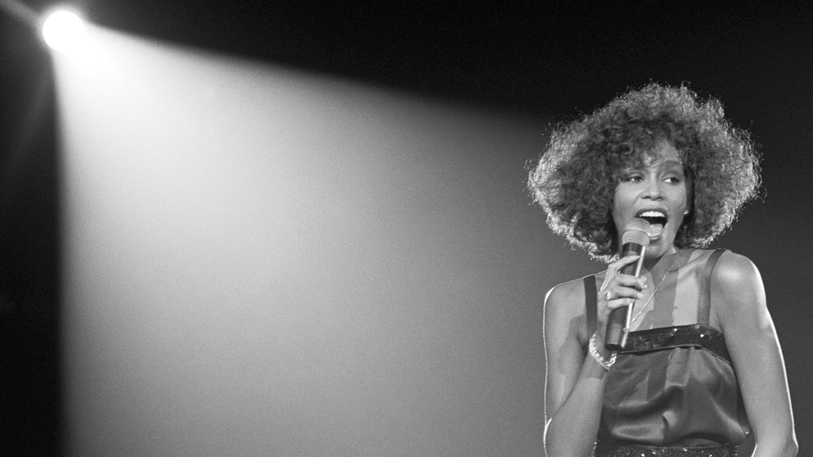 articles/2017/04/26/what-killed-whitney-houston-a-new-documentary-searches-for-answers/170426-leon-whitney-doc-tease_sfdp7w