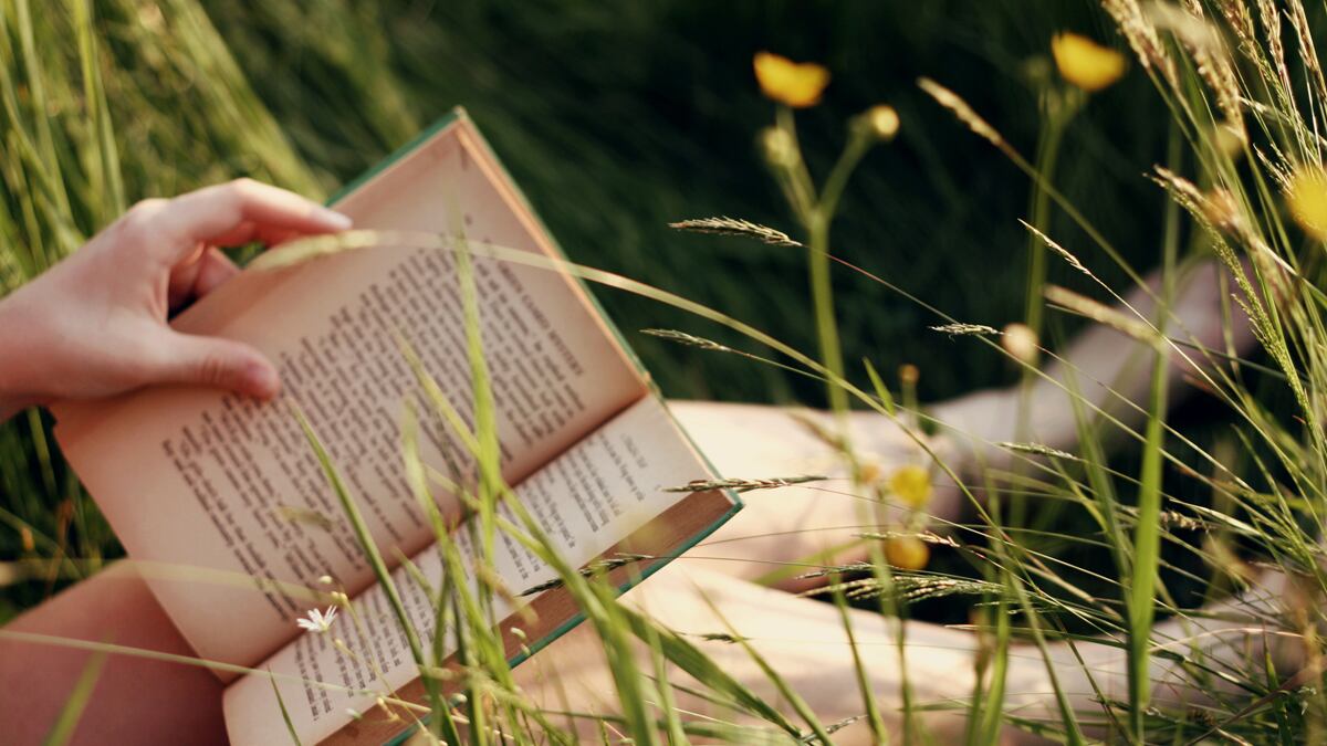 articles/2011/06/05/great-weekend-reads-clarence-darrow-pete-hamill-camille-noe-pagan/weekend-reads-book-list-110611_sqknu0