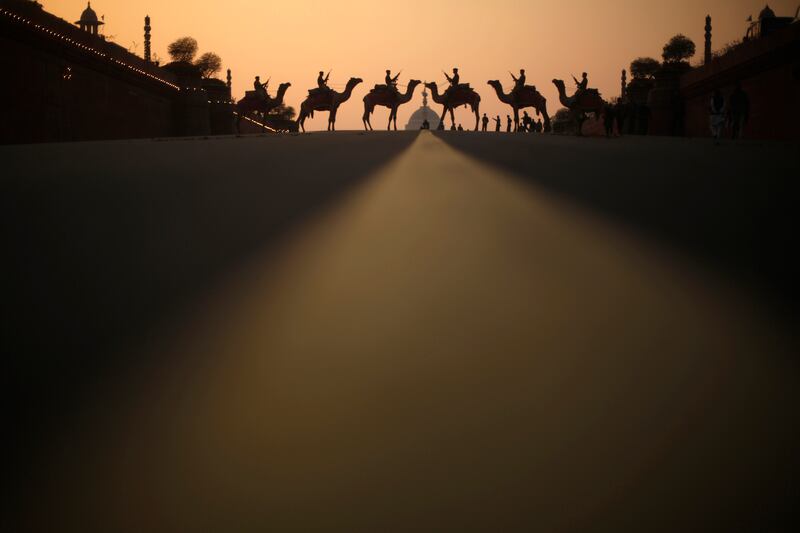 galleries/2013/12/26/the-best-beasts-of-2013-photos/beast-beast-camels-road_y2tjlc