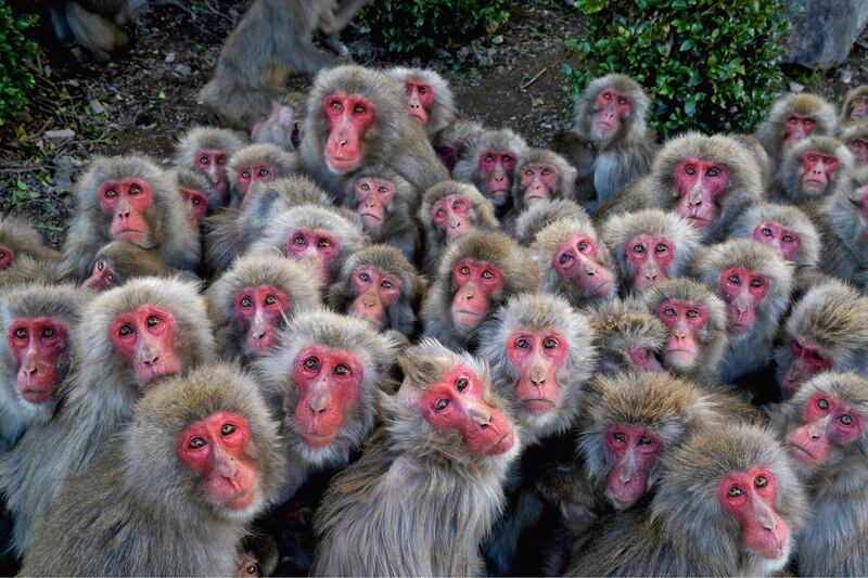 galleries/2014/12/21/the-year-in-photos-2014/141218-photo-year57_npu90z