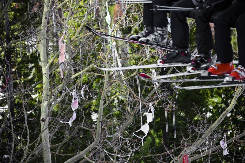 221214-bra-tree-skiing-embed-1_stmoiz