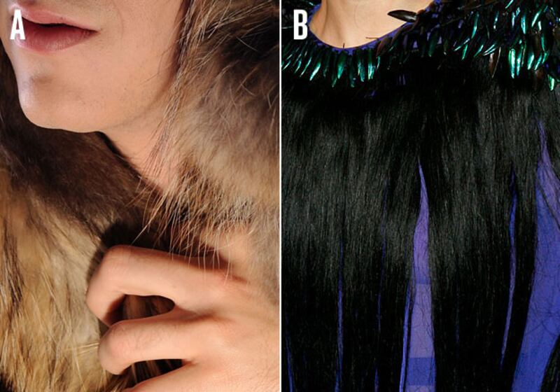 galleries/2010/02/17/lady-gaga-or-johnny-weir/weir-gaga-quiz-4_iluq2l