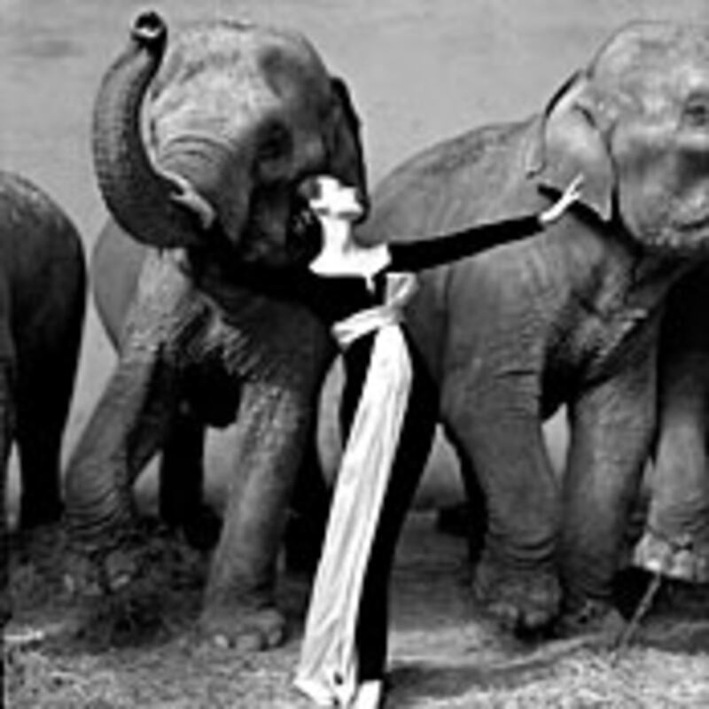 articles/2009/04/29/the-muses-worthy-of-a-museum/fashion-muses_24472_ot9qnk