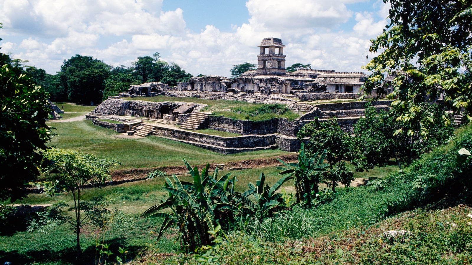 201119-oconnor-mexico-tease_lgmc42