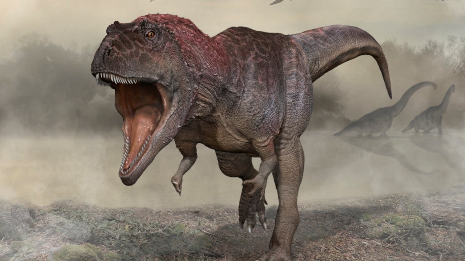 2022-07-07T144637Z_204221602_RC2D6V9TE5SX_RTRMADP_3_SCIENCE-DINOSAUR_giiumj