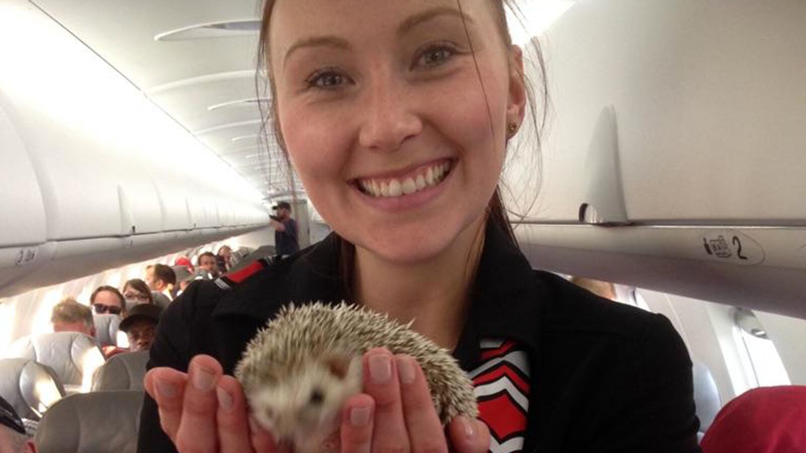 articles/2016/05/11/meet-the-pilot-saving-puppies-and-kittens-from-canada-s-wildfires/160511-briquelet-canadian-pilot-tease_ehulhl