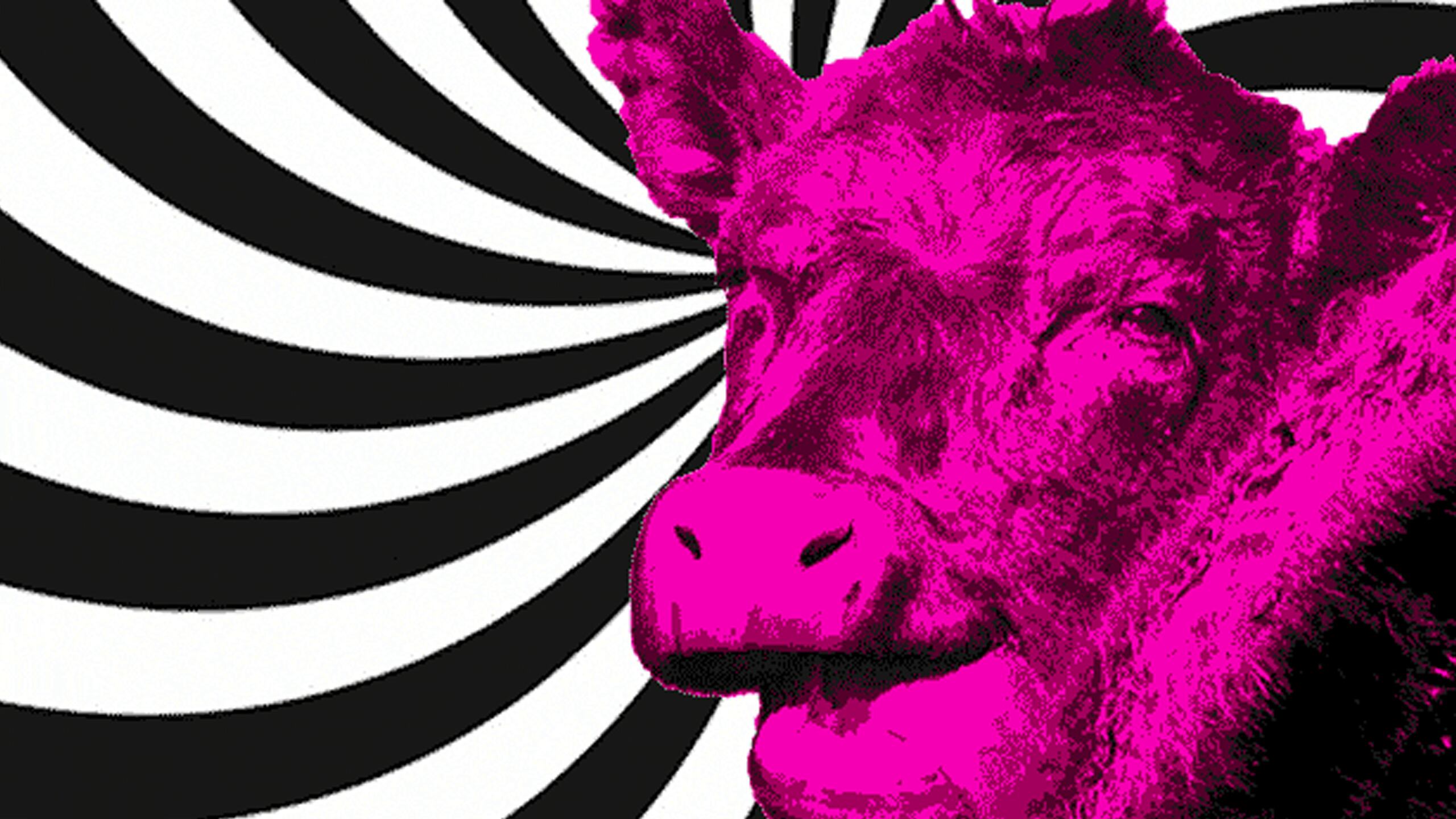 1804010-mad-cow-hero_tvxx0a