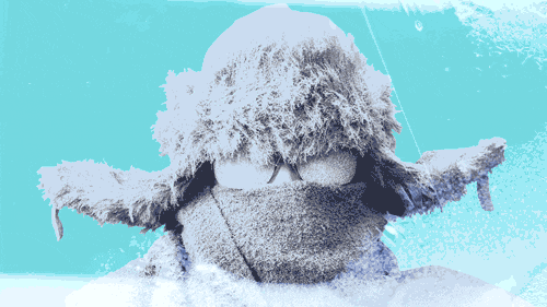 190131-basu-frozen-people-polar-vortex-hero_aa5orl