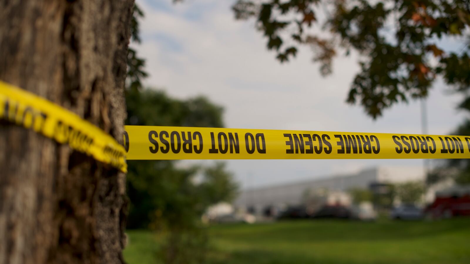 GettyImages-1036699820_1_dz7fnp