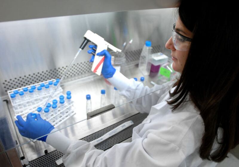 galleries/2009/11/04/hot-jobs/hot-jo2_nr2wpw