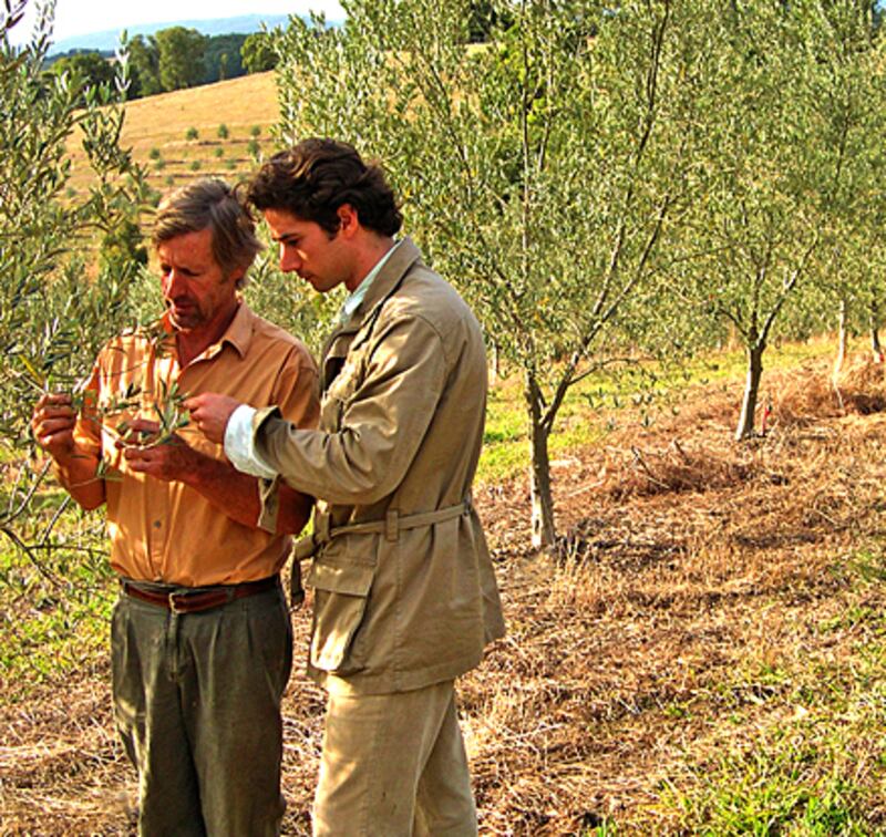 articles/2011/04/27/harvesting-evoo-down-under/meltzer-olive-oil_176132_nop7he