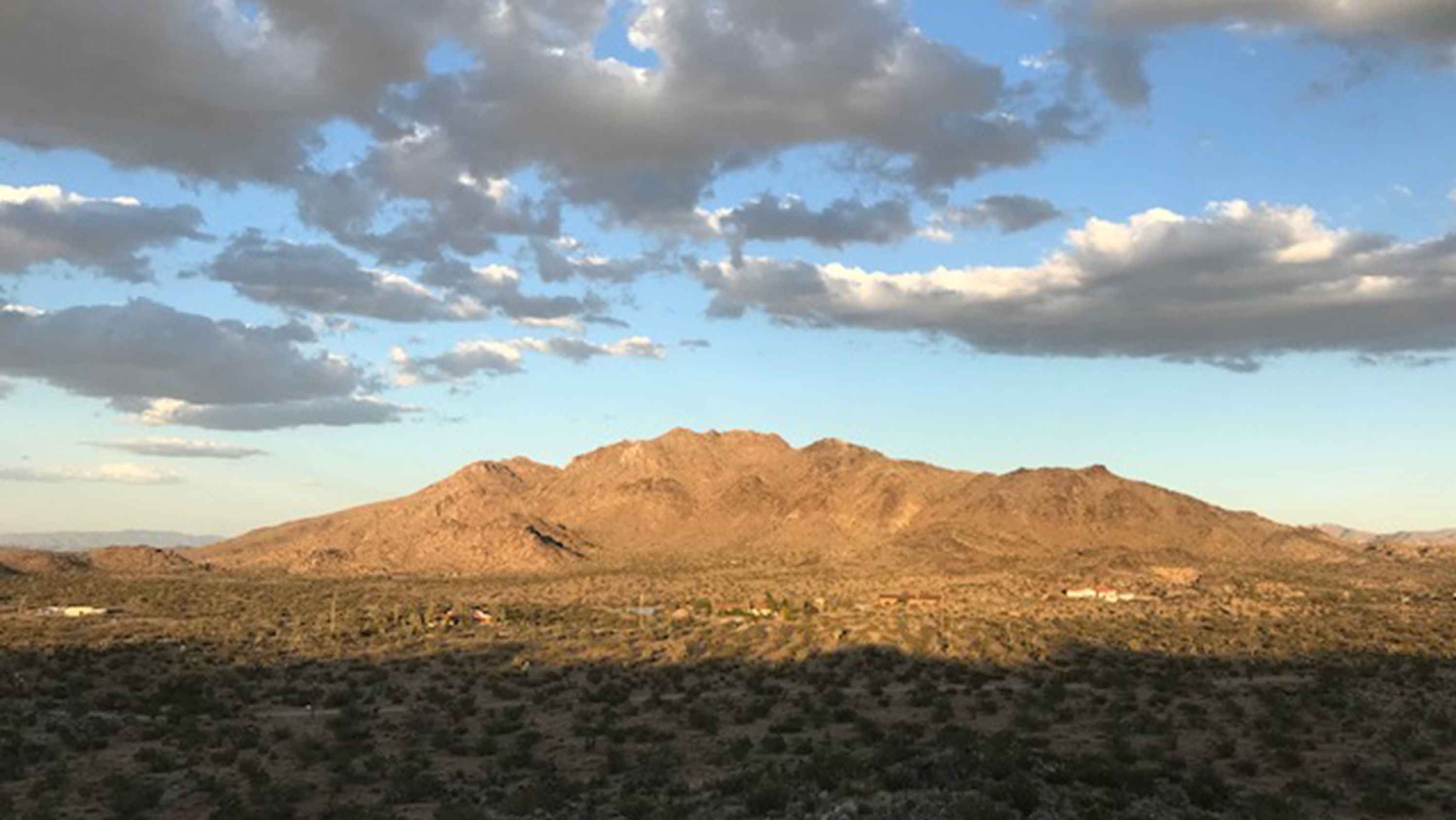 200605-theobald-tease_a6avbz