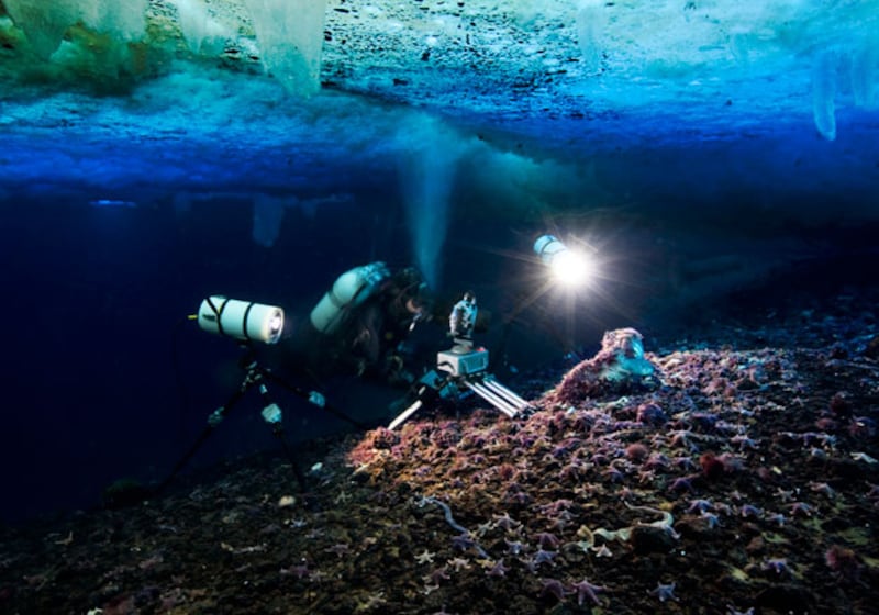 galleries/2010/03/18/life/life---6_ojcqyo