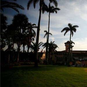 REUTERSEric_Thayer_vswemi_pszuap