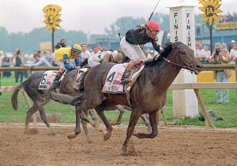 galleries/2011/05/05/top-racehorses/top-racehorses---risen-star_i5knsv