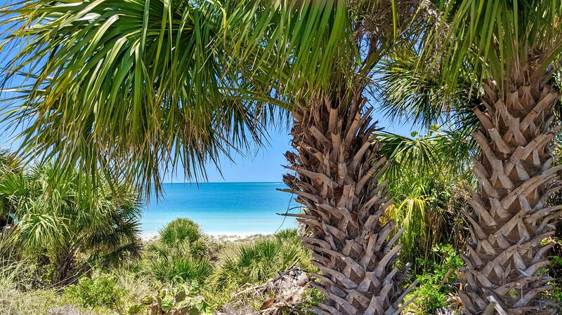 053122-withrow-florida-embed5_pq6aas