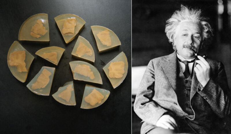 galleries/2009/08/31/stealing-from-the-stars/stealing-from-the-stars---einstein_susiga