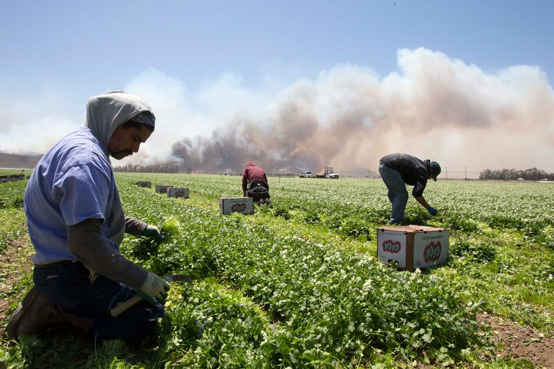 galleries/2013/05/04/week-in-photos-may-4-2013/130503-potw-06-california_zhsswj