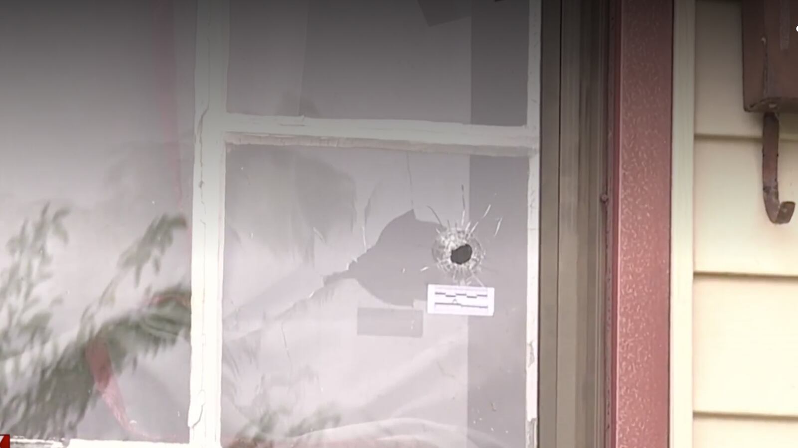 Screen_Shot_2022-07-06_at_5.36.17_PM_ellplh