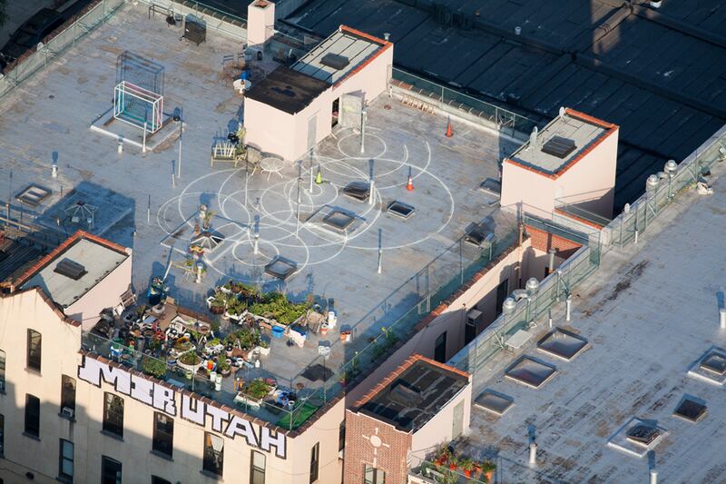 galleries/2012/04/22/earth-day-2012-new-york-rooftop-photos-by-alex-maclean/65-roebling-rooftop-garden_vfshs8