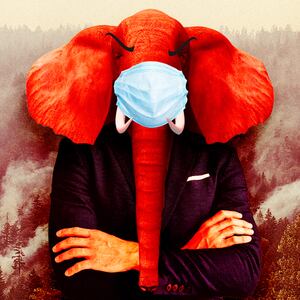 A photo illustration of a red elephant man in a suit in front of Canada wildfires.