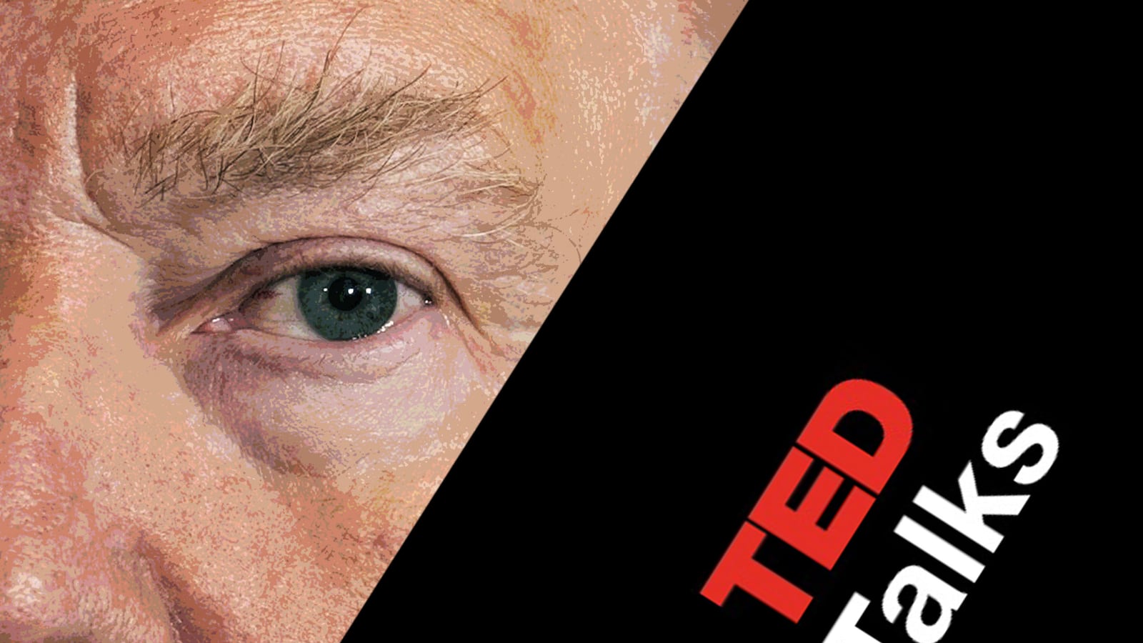 articles/2017/04/25/above-the-fray-ted-talks-confront-trumpian-fray/170425-TED-TRUMP-tease_zj0lyy