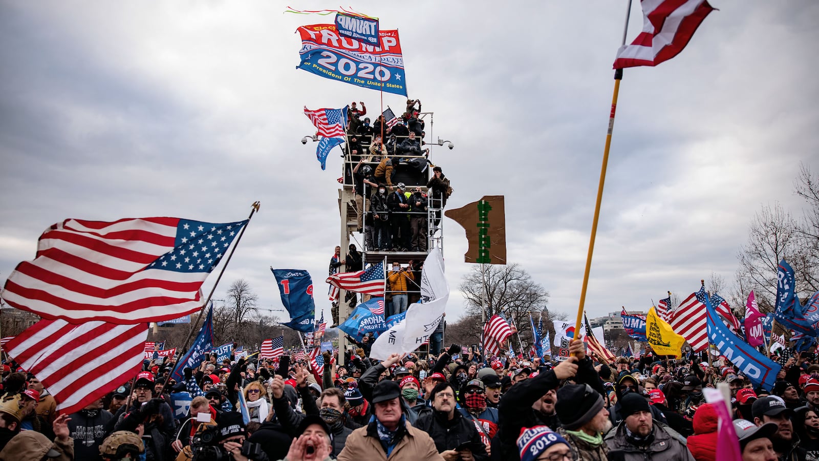 220103-Rohrlich-Capitol-Rioters-tease_xml0ye