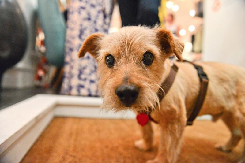 galleries/2013/01/19/elie-tahari-jonathan-adler-more-fashion-instagrams-photos/130115-fashion-instagram-10-Jonathan-Alder_vqebki