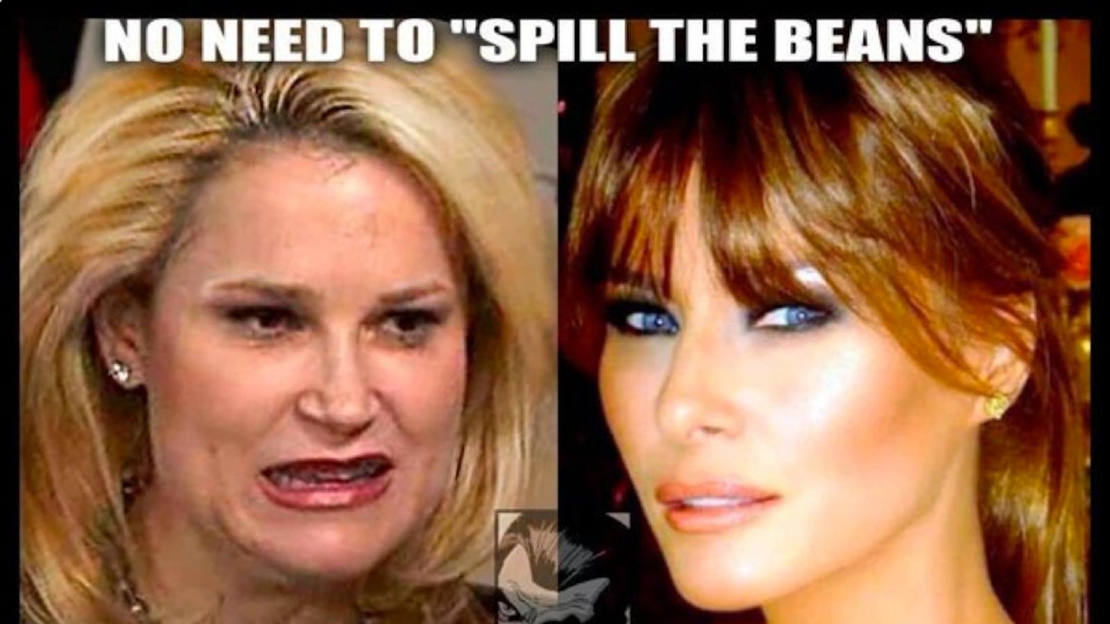 articles/2016/06/28/did-a-trump-staffer-make-the-meme-that-nearly-broke-his-campaign/160627-resnick-trump-meme-tease_hk4ihi