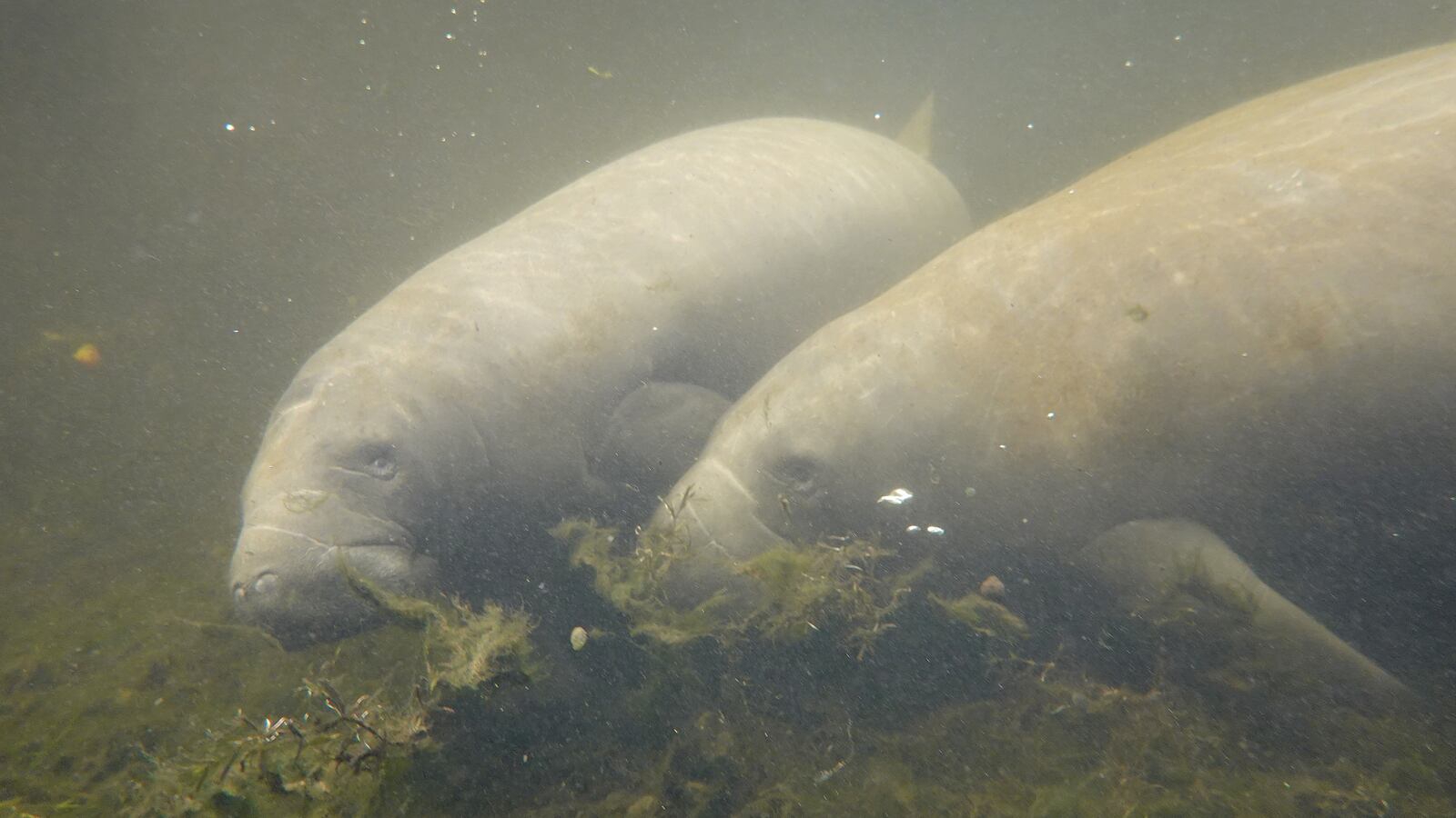 GettyImages-1345029797_xpr2ny