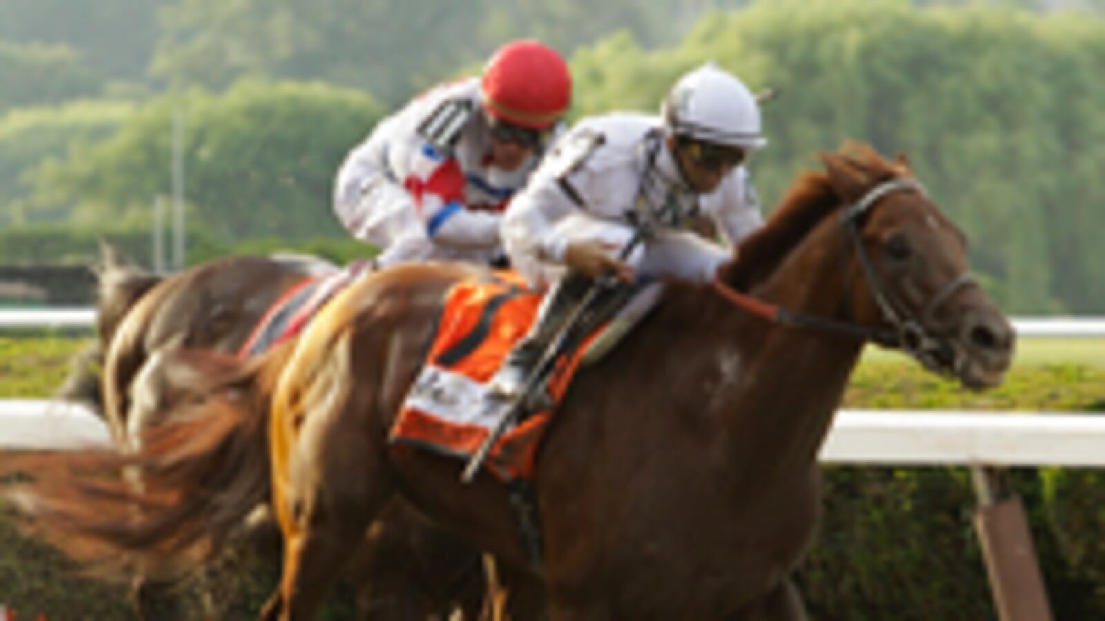cheats/2011/04/17/six-racehorses-burn-to-death/racehorse-fire_d1hl4u