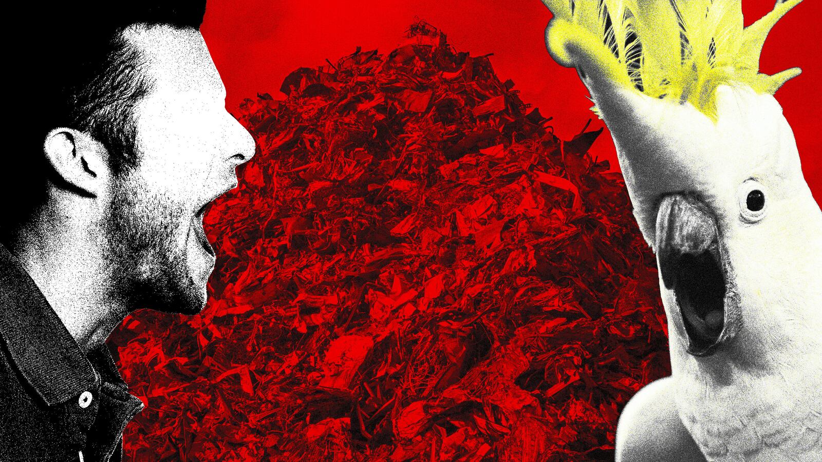 22912-express-tease_fdtvq2