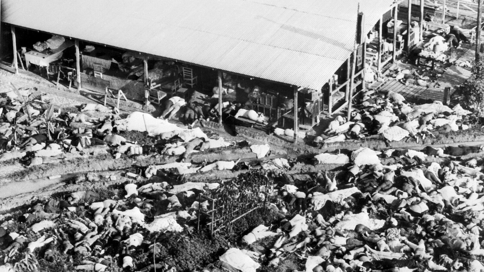 cheats/2014/08/07/unclaimed-jonestown-massacre-ashes-found/140807-jonestown-cheat_mfgvap