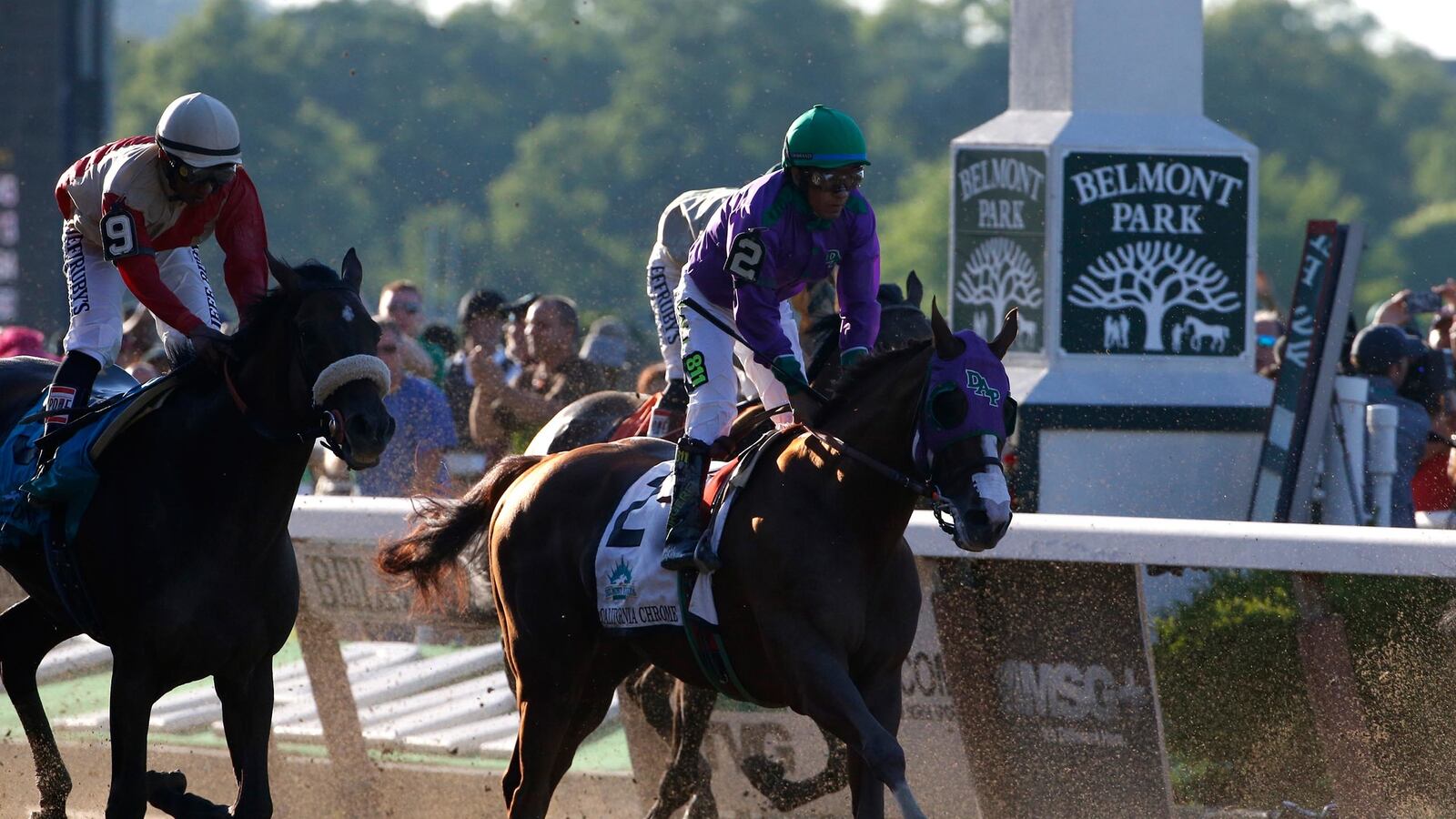 cheats/2014/06/08/california-chrome-owner-flips-over-loss/140608-california-chrome-cheat_z2cqcm