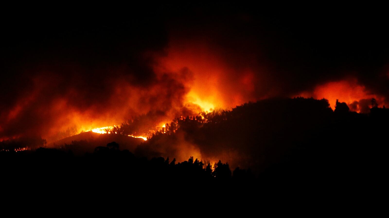 170618-portugal-wildfires-dozens-dead-cheat_q0vi4q