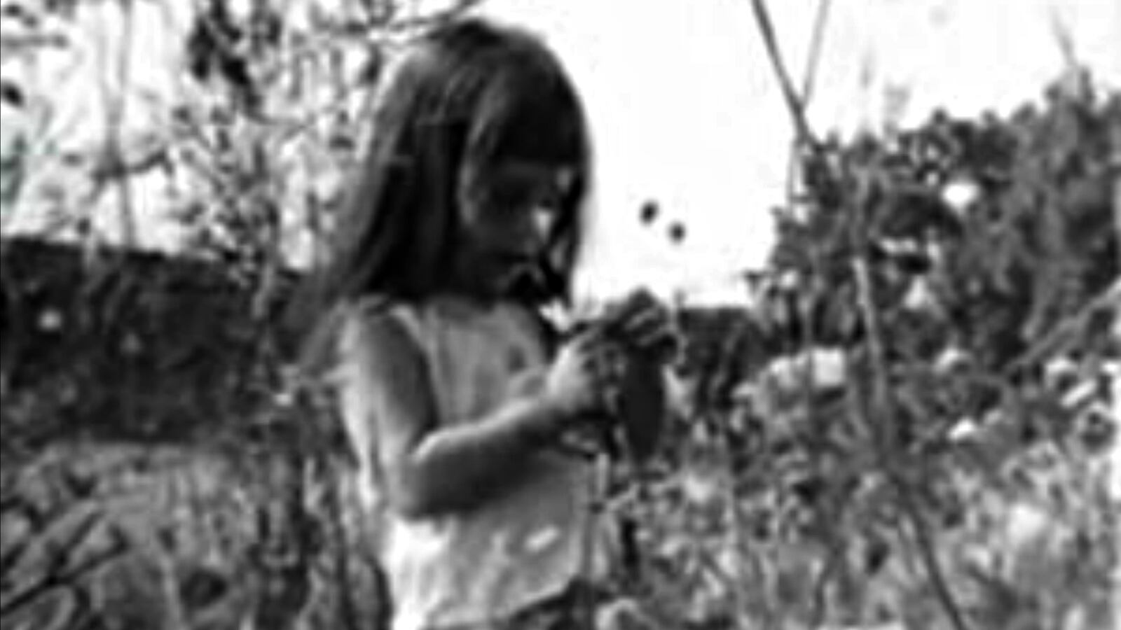 cheats/2016/10/31/lbj-s-daisy-girl-cuts-ad-for-clinton/161031-daisy-ad-updated-cheat_u6n276