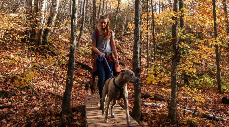 05_MNValley_CREDIT_Alyssa_Hei_.jpg_ptviq4