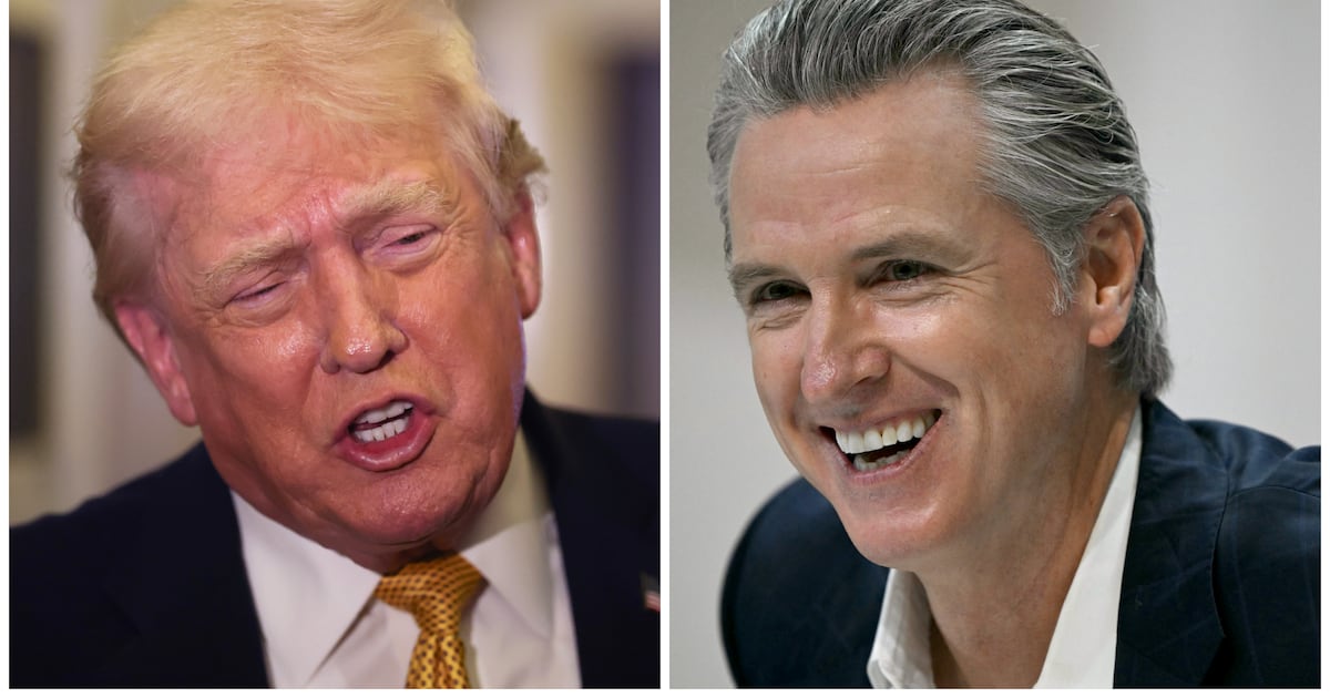 Newsom verspottet Trump wegen seines „verkümmerten kleinen Gehirns“ nach ...