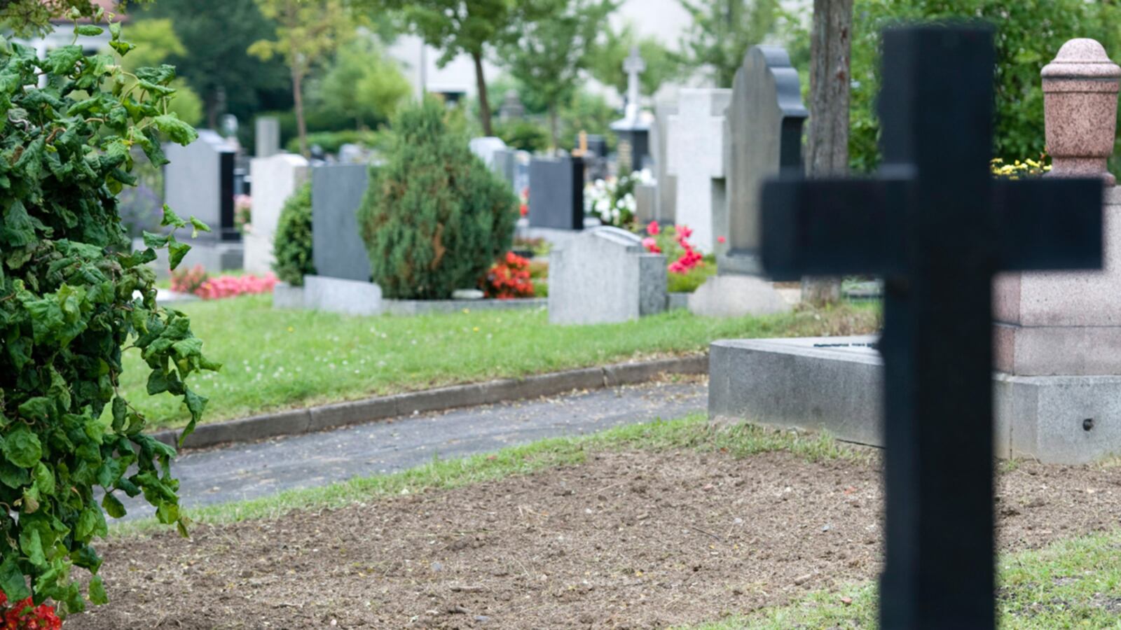 cheats/2011/07/21/hitler-henchman-s-remains-exhumed/rudolf-hess-grave-cheat_ksyhzo