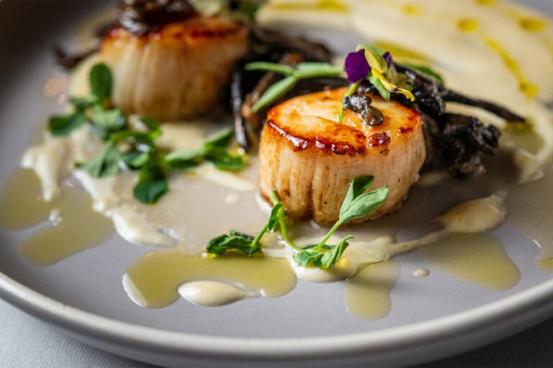 scallops served up at Bistro Cacao
