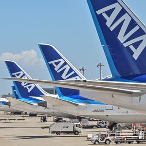 An All Nippon Airways (ANA) domestic flight had left the city of Sapporo en route to Toyama, before turning around for an emergency landing on Saturday.