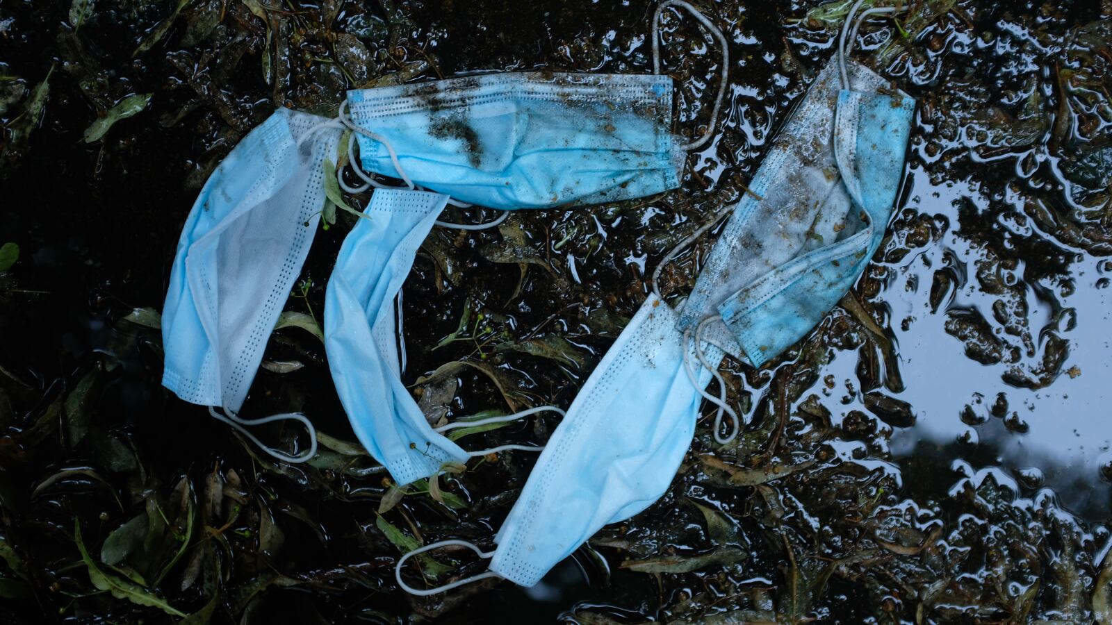 GettyImages-1254357287_djwahr