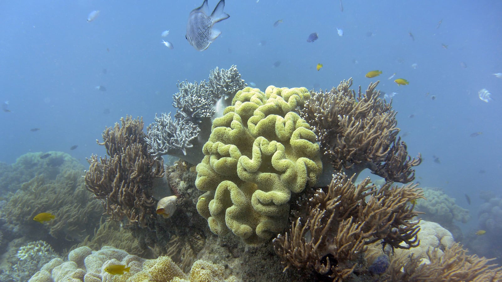 GettyImages-488445076_l5qvjj