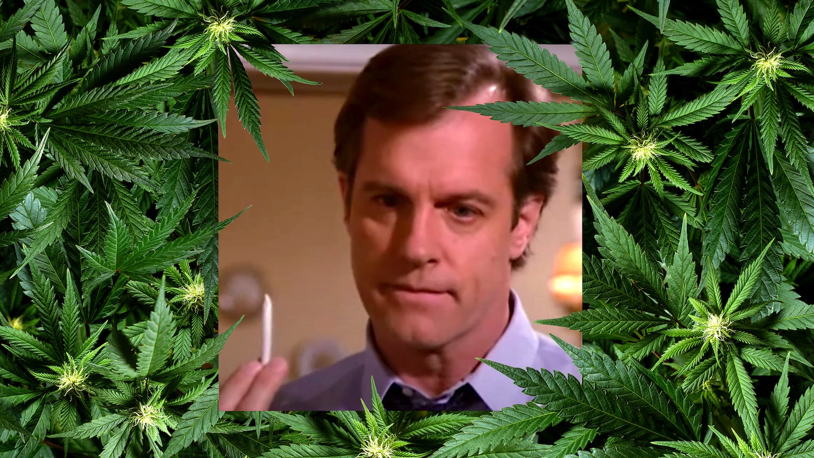 210418-bradley-7th-heaven-weed-tease_wqmaqw