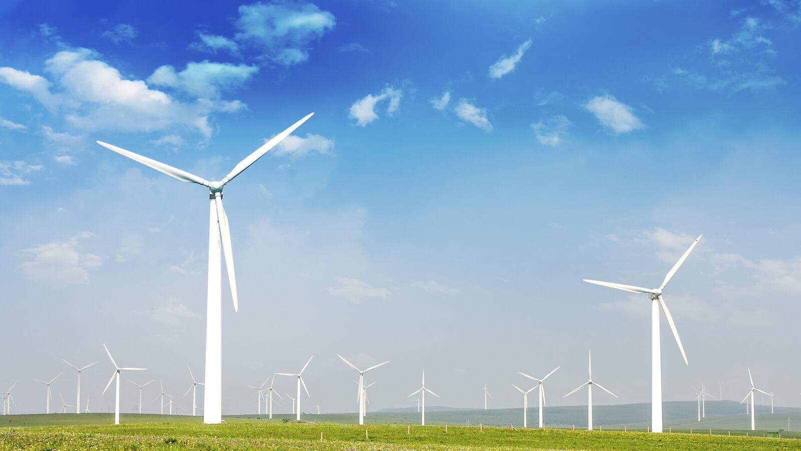 articles/2014/05/22/the-bond-market-goes-green/140521-green-bonds-shell-tease_ivh6qw