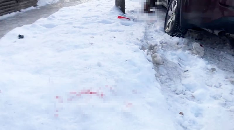 Still from a social media video showing a woman being shot and killed by an ICE officer in Minneapolis, Minnesota