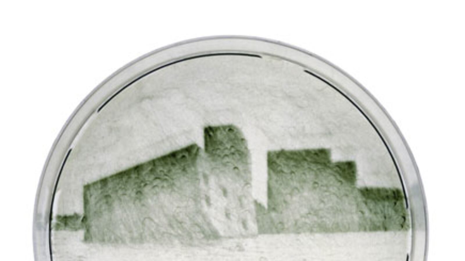galleries/2010/05/27/microbial-art/microbial-art-10_lj9jfr